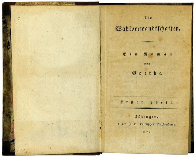Cover of Die Wahlverwandtschaften