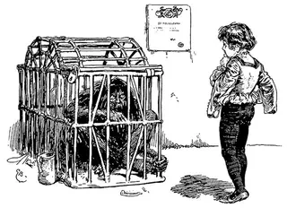 Cover of Iron John