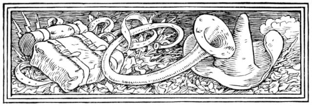 Cover of The Knapsack, the Hat, and the Horn