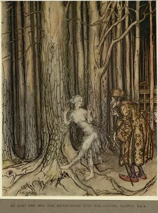 Cover of Fitchers Vogel