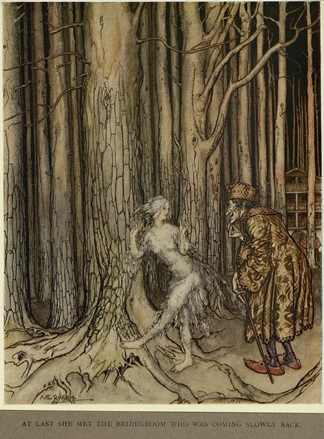 Cover of Fitchers Vogel