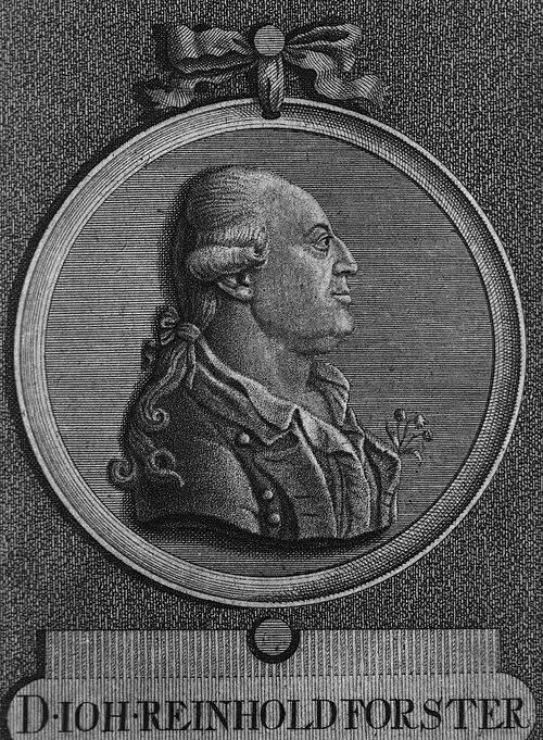 Photo of Johann Reinhold Forster