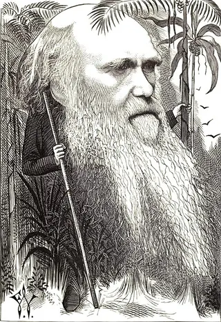 Cover of Darwin and the Science of Evolution