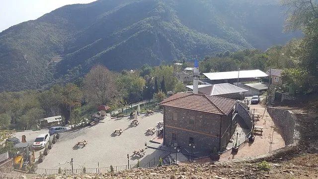 Cover of Çalıkuşu