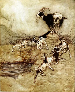 Cover of The Wolf and the Seven Young Goats