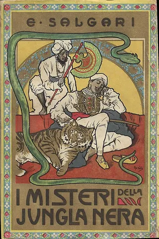 Cover of The Mystery of the Black Jungle
