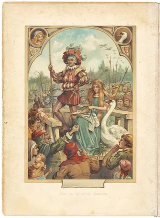 Cover of De vilde Svaner