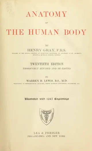 Cover of Anatomy