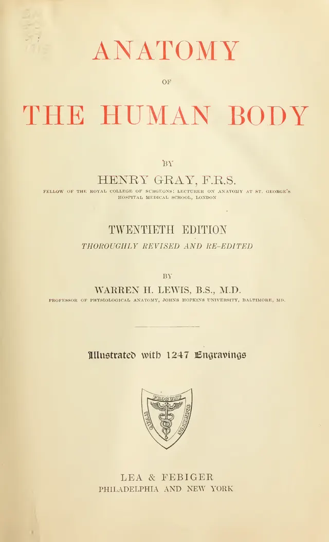 Cover of Anatomy