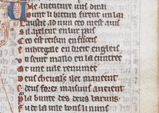 Cover of Laüstic