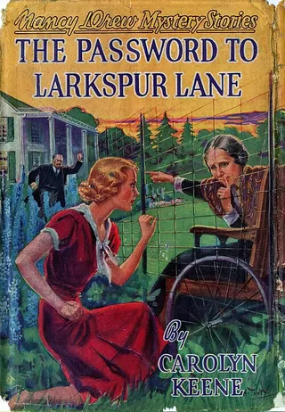 Cover of The Password to Larkspur Lane