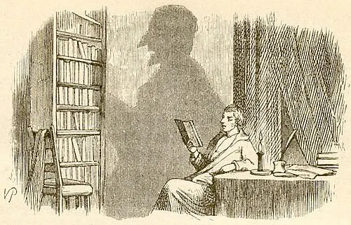 Cover of Skyggen