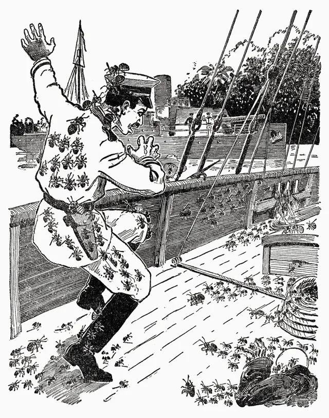 Cover of Empire of the Ants