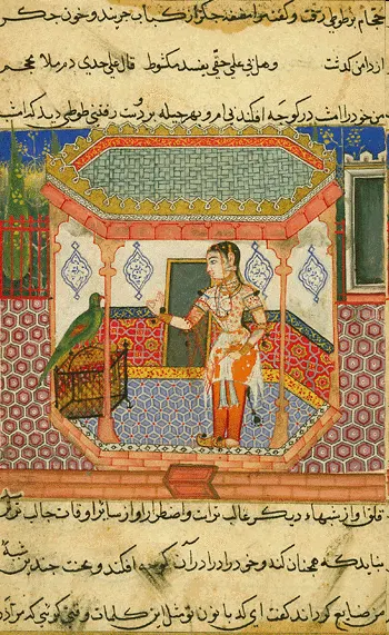 Cover of Tutinama