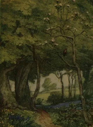 Cover of Ode to a nightingale