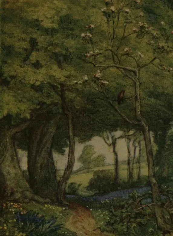 Cover of Ode to a nightingale