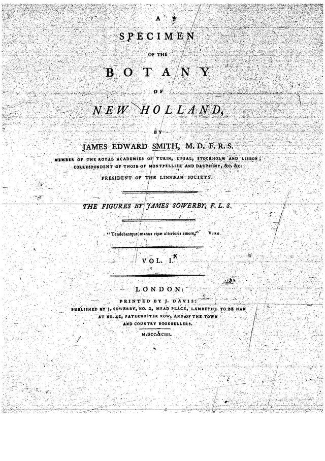 Cover of A Specimen of the Botany of New Holland