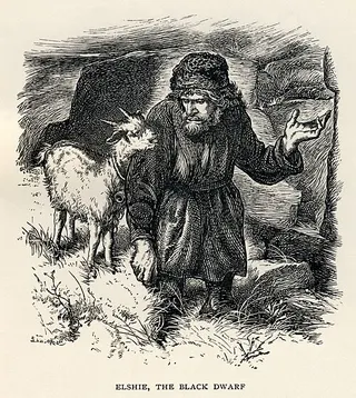 Cover of The Black Dwarf