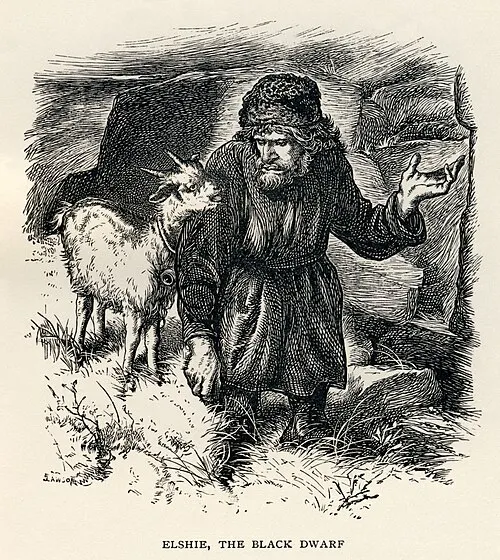 Cover of The Black Dwarf