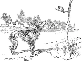 Cover of The Dog and the Sparrow