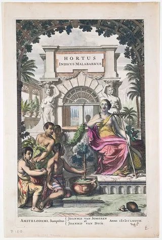 Cover of Hortus Malabaricus