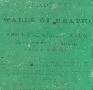 Cover of Shadows from the Walls of Death