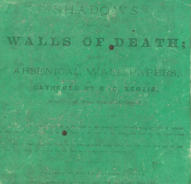 Cover of Shadows from the Walls of Death