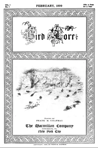 Cover of Bird Lore
