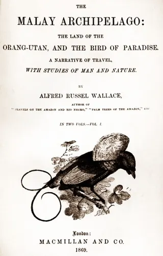 Cover of The Malay Archipelago: The land of the orang-utan, and the bird of paradise. A narrative of travel, with sketches of man and nature