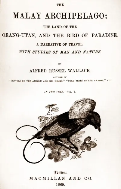 Cover of The Malay Archipelago: The land of the orang-utan, and the bird of paradise. A narrative of travel, with sketches of man and nature