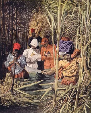 Cover of The Exploration of Africa: From Cairo to the Cape