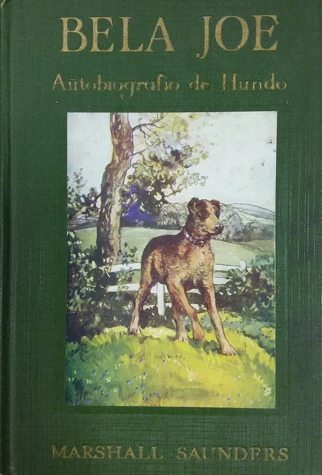 Cover of Beautiful Joe
