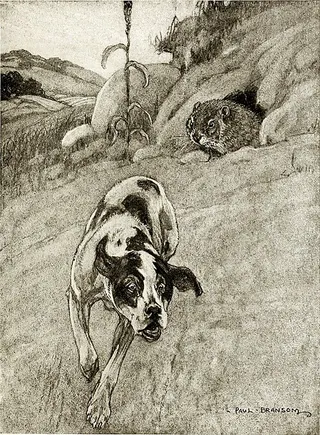 Cover of The Adventures of Young Grumpy