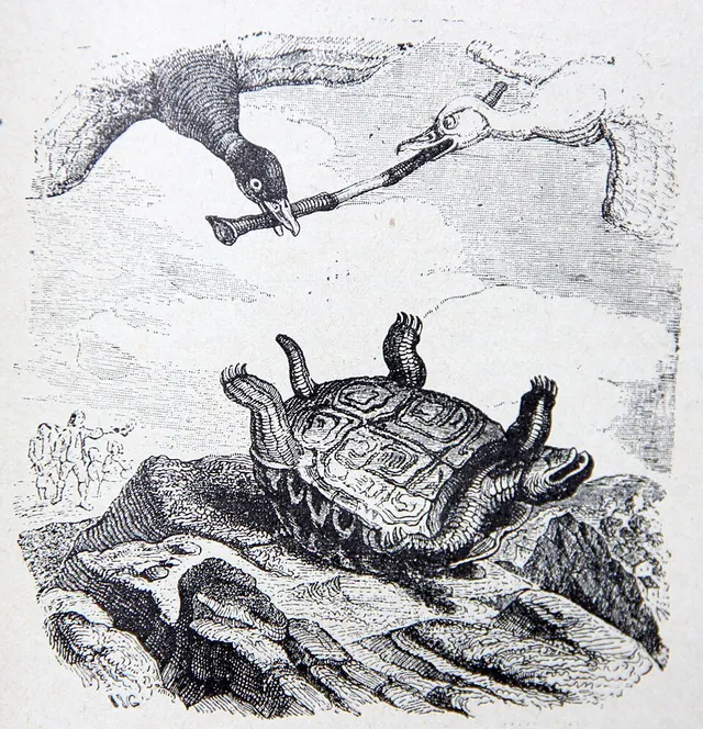 Cover of The Tortoise and the Birds