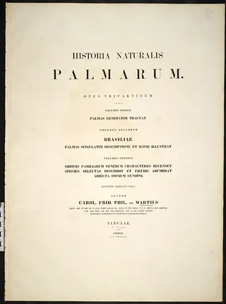 Cover of Historia Naturalis Palmarum