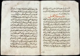 Cover of The Nabataean Agriculture