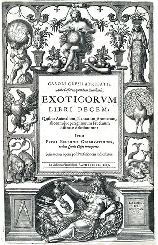 Cover of Exoticorum libri decem