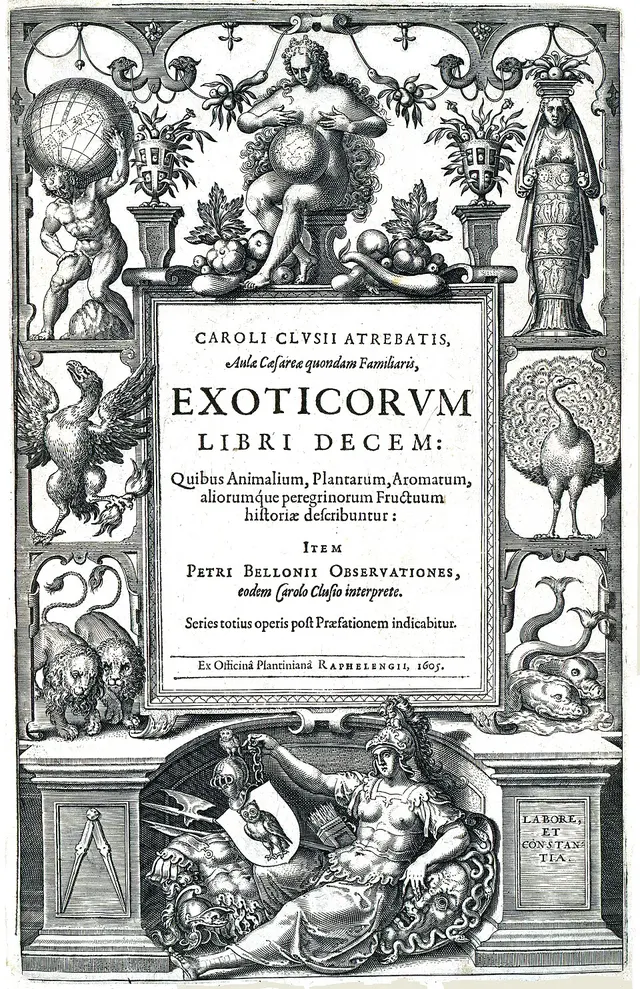 Cover of Exoticorum libri decem