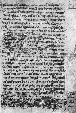 Cover of Chronica Boemorum
