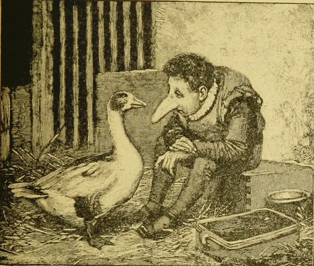 Cover of Dwarf Nose