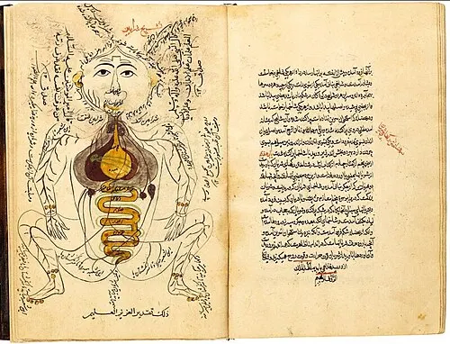 Photo of Zayn al-Din Gorgani