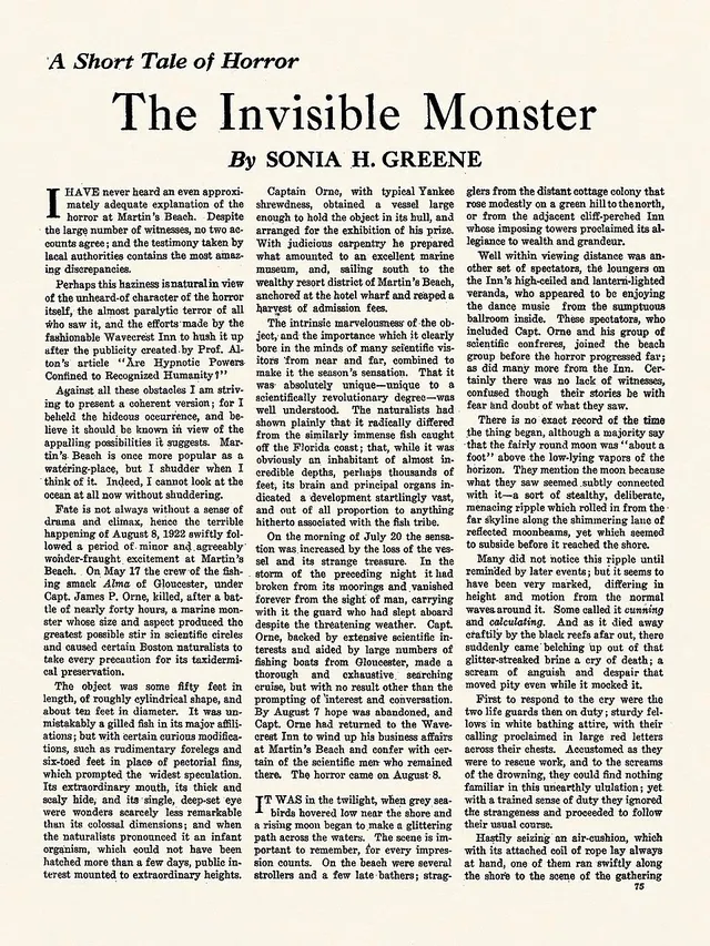 Cover of The Horror at Martin's Beach
