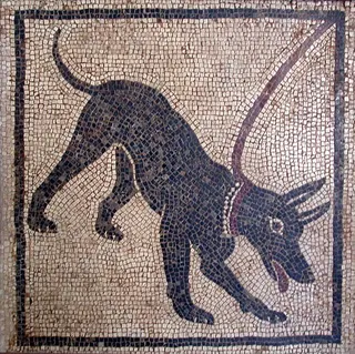 Cover of The Dog and the Wolf