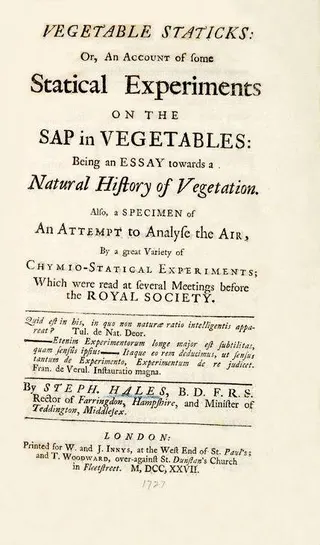 Cover of Vegetable Staticks