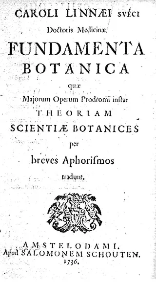 Cover of Fundamenta Botanica