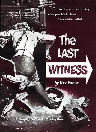 Cover of The Next Witness