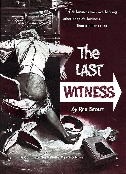 Cover of The Next Witness